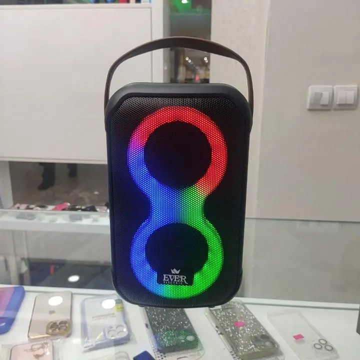 اسپیکر میکروفون بی‌سیم Ever 858 | الکتروکیت معینی